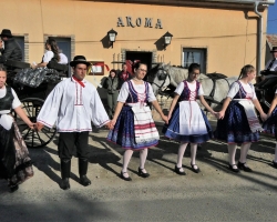 P1080496.JPG